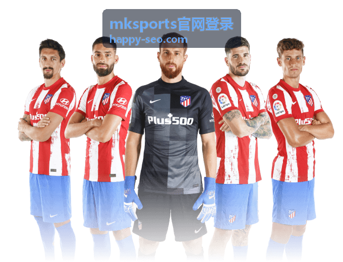 mksports官网登录辅助说明卡片