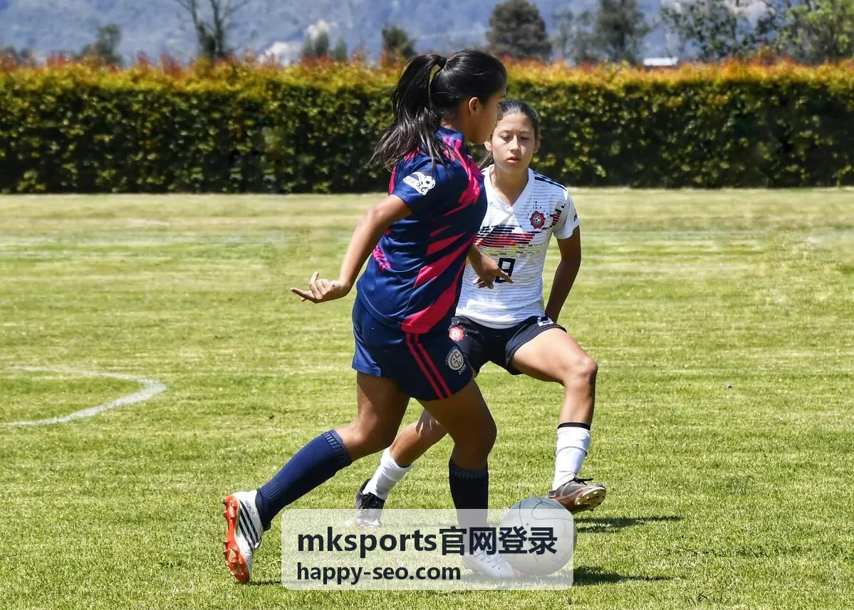 mksports官网登录安全验证步骤示意